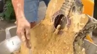 Lakukan aksi ekstrem netizen ini masak gitar kesayangan dengan cara digoreng tepung. Bukankah seharusnya dipresto dulu agar lebih empuk? Foto: 1cak.com