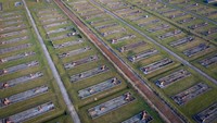 Ia juga menyuntikkan klorofoam ke dalam hati orang kembar untuk mengetahui apakah keduanya akan meninggal pada saat yang sama dan dengan cara yang sama. Getty Images/Christopher Furlong