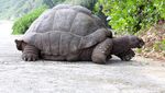 Potret Moyenne, Si Taman Nasional Terkecil Dunia