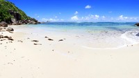 Pulau ini dulunya terabaikan, sampai akhirnya dibeli oleh Brendon Grimshaw. (Getty Images/iStockphoto/vuk8691)