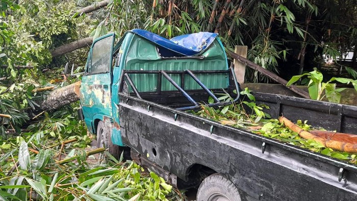 Puting Beliung Bikin Puluhan Pohon Tumbang, Timpa Rumah dan Kendaraan Warga