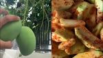 10 Resep Camilan Buah Segar Ini Dijamin Bikin Harimu Menyegarkan!