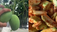 Untuk inspirasi resep lain, kamu bisa coba resep rujak mangga yang viral di TikTok ini. Bumbunya hanya bubuk cabai dan gula. Beberapa juga ada yang menambahkan bumbu penyedap. Lihat informasinya di sini. Foto: TikTok 