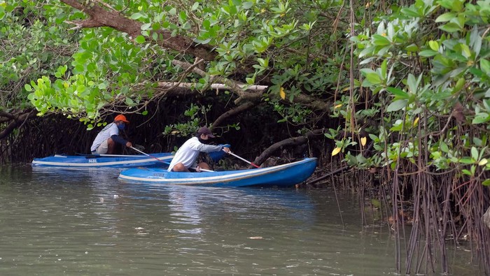 AKSI BERSIH MANGROVE DI BALI Dua warga membersihkan sampah dalam aksi bersih mangrove di kawasan Mangrove Conservation Forest Bali, Denpasar, Bali, Sabtu (29/1/2022). Kegiatan yang digelar Kementerian Lingkungan Hidup dan Kehutanan bersama Green Leadership Indonesia tersebut sebagai momentum menyambut penyelenggaraan Presidensi G20 tahun 2022 di Bali yang dirangkaikan dengan kampanye sungai bersih untuk mencegah sampah masuk ke dalam saluran air serta program restorasi mangrove guna menjaga kelestarian hutan bakau. ANTARA FOTO/Nyoman Hendra Wibowo/nym.