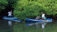 Dua warga membersihkan sampah dalam aksi bersih mangrove di kawasan Mangrove Conservation Forest Bali, Denpasar, Bali, Sabtu (29/1/2022).