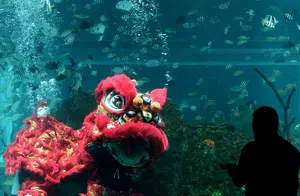 Keren! Barongsai di Bali Bisa Menyelam Lho