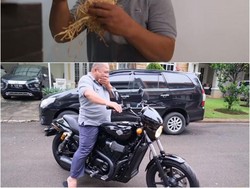 6 Kado Mewah Para Artis Untuk Asisten yang Ultah, Ada Berlian Hingga Moge