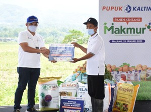 Top! Kentang Asal Malang Diborong Indofood Jadi Camilan