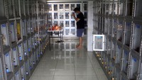 Tujuannya mendoakan keluarga yang telah tiada agar mendapatkan kehidupan sempurna. 