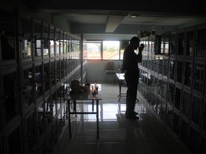 Mengenal Sembahyang Leluhur, Tradisi Orang Tionghoa Saat Imlek
