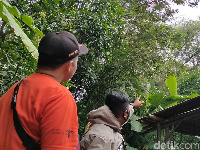 Lokasi serangan tawon gung di Tuksono, Kulon Progo, DIY.