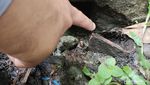 Potret Bunker Berusia 250 Tahun di Rangkasbitung, Kokoh tapi Tak Terawat