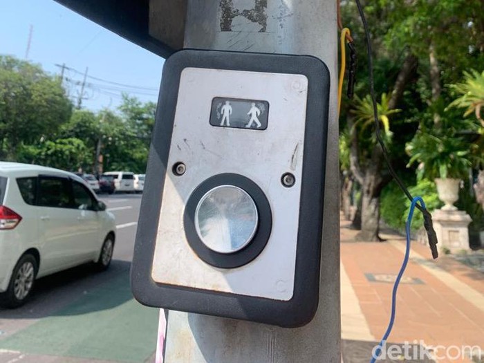 pelican crossing di surabaya