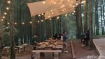 Tahu Nggak, Garut Punya Tempat Ngopi Hits di Tengah Hutan Pinus