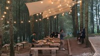 Tempat ngopi ini memiliki konsep alam terbuka. Pengunjung yang datang menikmati kopi panas atau dingin sederhana di kursi-kursi dan meja kayu yang tersebar di halaman.