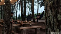 Diketahui, tempat ini dikelola oleh desa setempat. Mereka bekerja sama dengan pihak pengembang untuk menjadikan potensi desanya makin muncul dengan kedai kopi. Dibuka sekitar 2 minggu lalu, Kafe deJati Wangi mulai diserbu kalangan muda hingga orang tua di kawasan Garut bagian utara. Tak hanya itu, warga dari pusat perkotaan Garut hingga luar kota juga banyak yang sengaja datang ke tempat ini.