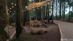 Tahu Nggak, Garut Punya Tempat Ngopi Hits di Tengah Hutan Pinus