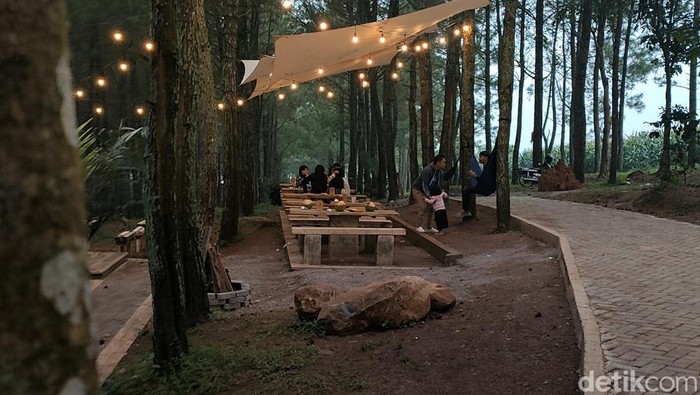 Tahu Nggak, Garut Punya Tempat Ngopi Hits di Tengah Hutan Pinus Tempat ngopi yang berada di kawasan Garut ini lagi hits di kalangan anak muda. Pasalnya, kedai kopi ini berada di tempat terbuka dan dikeliling hutan pinus.