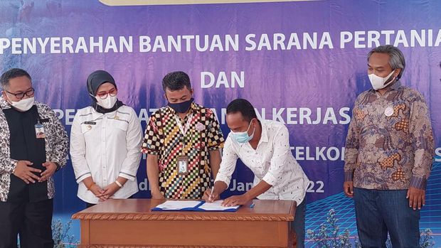 Telkom bekerjasama dengan Gabungan Kelompok Tani (Gapokan) Tani Mulus Indrayamayu, Jawa Barat, berbagi pendapatan (revenue sharing) hasil panen sampai Rp 1 miliar.