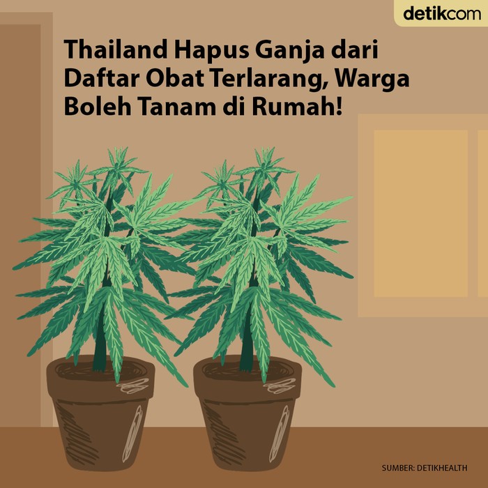 Thailand hapus ganja dari daftar obat terlarang