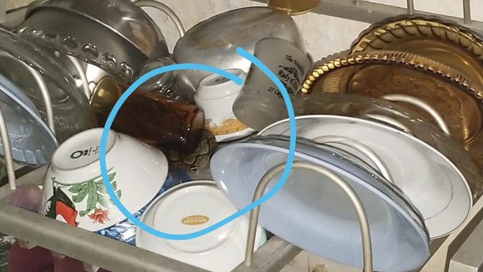 Ular sanca muncul di rak piring warga Makassar