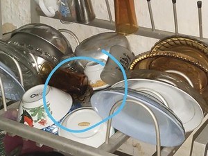 Ngeri! Ular Sanca 1 Meter Muncul di Rak Piring Warga Makassar