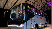 Eksterior bus ini cukup elegan dan minimalis dengan dominasi warna silver dan grafis berwarna biru. Aksen krom di bagian fascia dan selendang samping bikin bus ini semakin menawan.