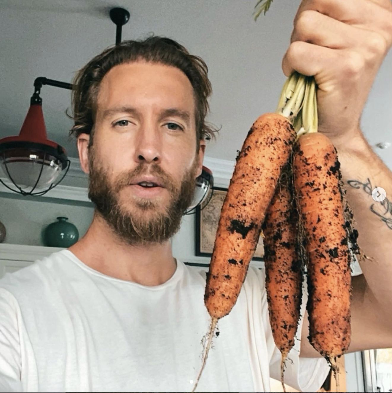 Beli Lahan 55 Hektar, DJ Calvin Harris Serius Jadi Petani