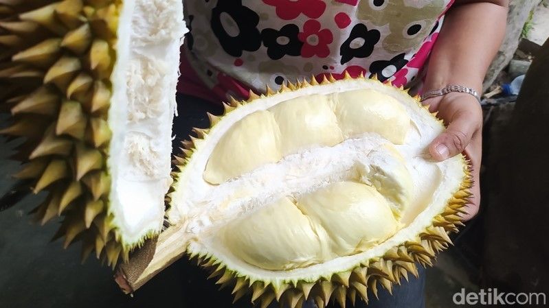 Durian Candimulyo memiliki tekstur daging yang kental.