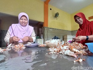 Pesanan Daging Rajungan di Probolinggo Naik 80 Persen Jelang Imlek 2022