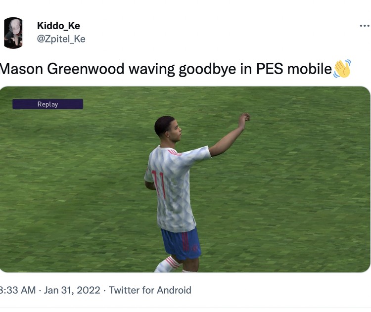 Meme Greenwood