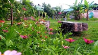 Jejeran bunga di sekolah alam Manusak