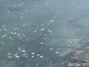 Waduh! Limbah Rapid Tes Antigen Berserakan-Cemari Selat Bali