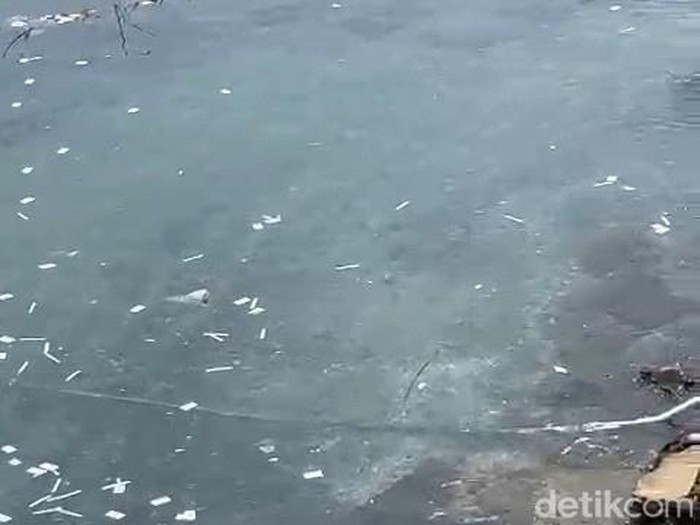 Ribuan limbah medis rapid test antigen kits dibuang di laut. Ribuan limbah bekas alat tes antigen itu ditemukan berserakan di sepanjang pantai di Selat Bali.