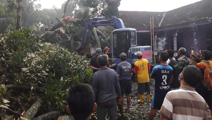 Warga bersama petugas membersihkan pohon tumbang akibat puting beliung di Klaten, Senin (31/1/2022).