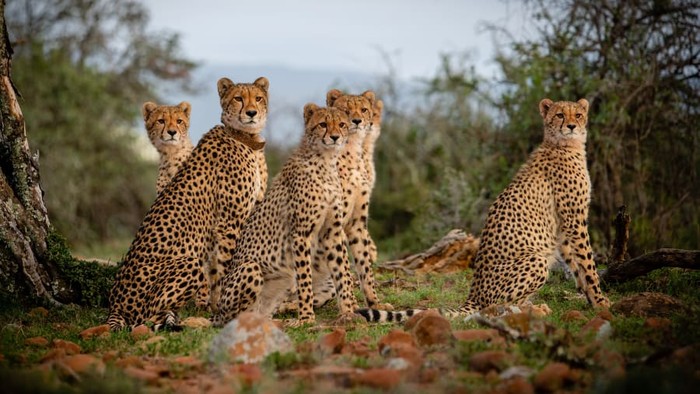 Samara Private Game Reserve