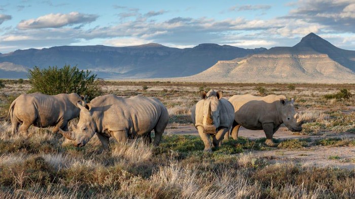 Samara Private Game Reserve