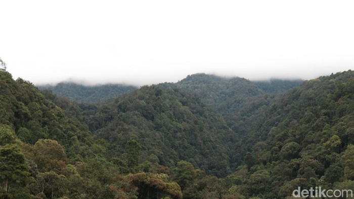 Jembatan Gantung Situgunung Sukabumi Jembatan Gantung Situgunung Sukabumi