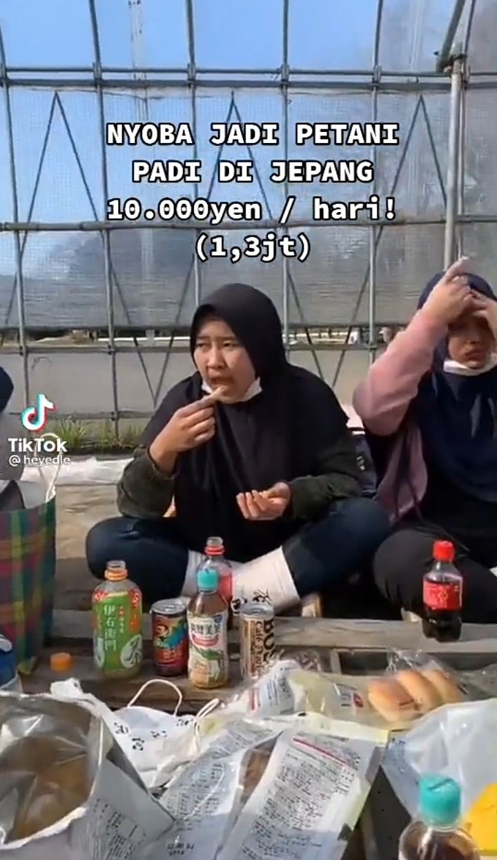 Momen Seru Mahasiswa Indonesia Parttime Jadi Petani di Jepang