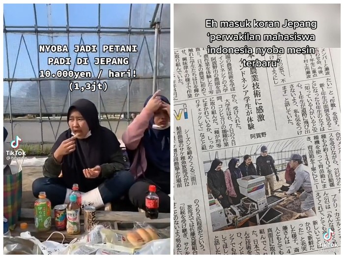 Momen Seru Mahasiswa Indonesia Parttime Jadi Petani di Jepang