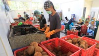 Pelaku usaha mengaku dalam sehari mampu memproduksi minyak kelapa murni sebanyak 600 sampai 700 kilogram dari 10 ton bahan baku kelapa.