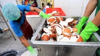 Minyak kelapa ini dipasarkan ke pasar domestik dan pasar internasional dengan harga jual berkisar antara 4 sampai 6 dolar AS per kilogram.