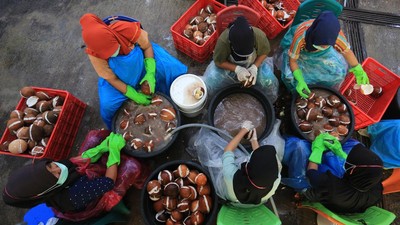 Melihat Industri Minyak Kelapa di Tengah Mahalnya Minyak Sawit