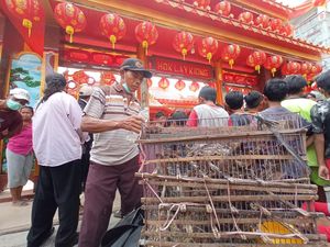 Pedagang Burung Pipit Raup Ratusan Ribu Rupiah di Imlek Tahun Ini