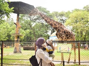 Iki Lho Rek 7 Wisata Asyik di Surabaya, Cek Harga Tiketnya!