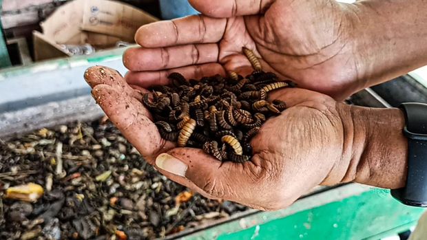 Warga Cipageran Asri punya tentara khusus untuk melahap bertonton sampah tiap bulannya