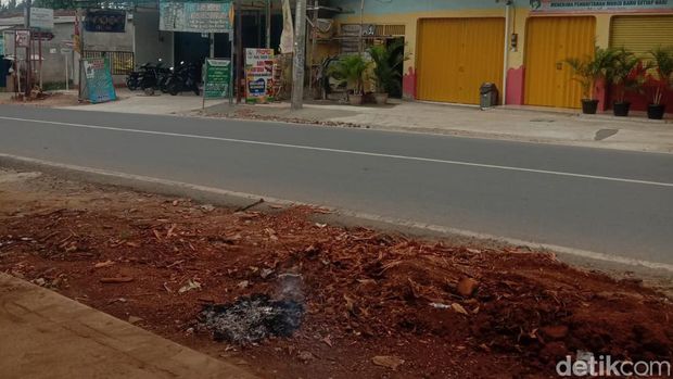 Batang Pohon Sisa Penebangan di Depok Kini Diangkut.