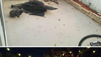 Ruang belakang rumah jadi lebih asyik untuk nongkrong setelah direnovasi. Foto: Boredpanda