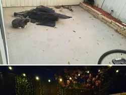 Foto Before After Renovasi Ruangan yang Mencengangkan