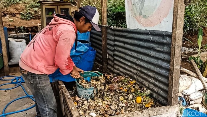 Giat Warga Cimahi Raup Cuan Lewat Budidaya 'Pasukan Pelahap Sampah' Giat Warga Cimahi Raup Cuan Lewat Budidaya 'Pasukan Pelahap Sampah'